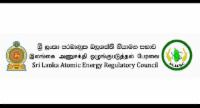 அணுசக்தி விபத்தில் கதிர்வீச்சு விளைவு கண்காணிப்பு